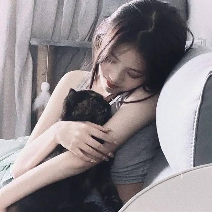 阿比盖尔的派对