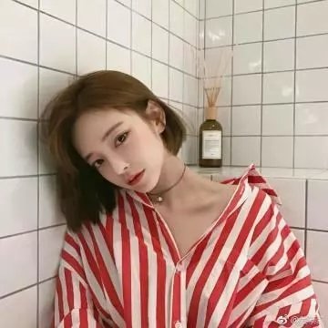 玫瑰的战争